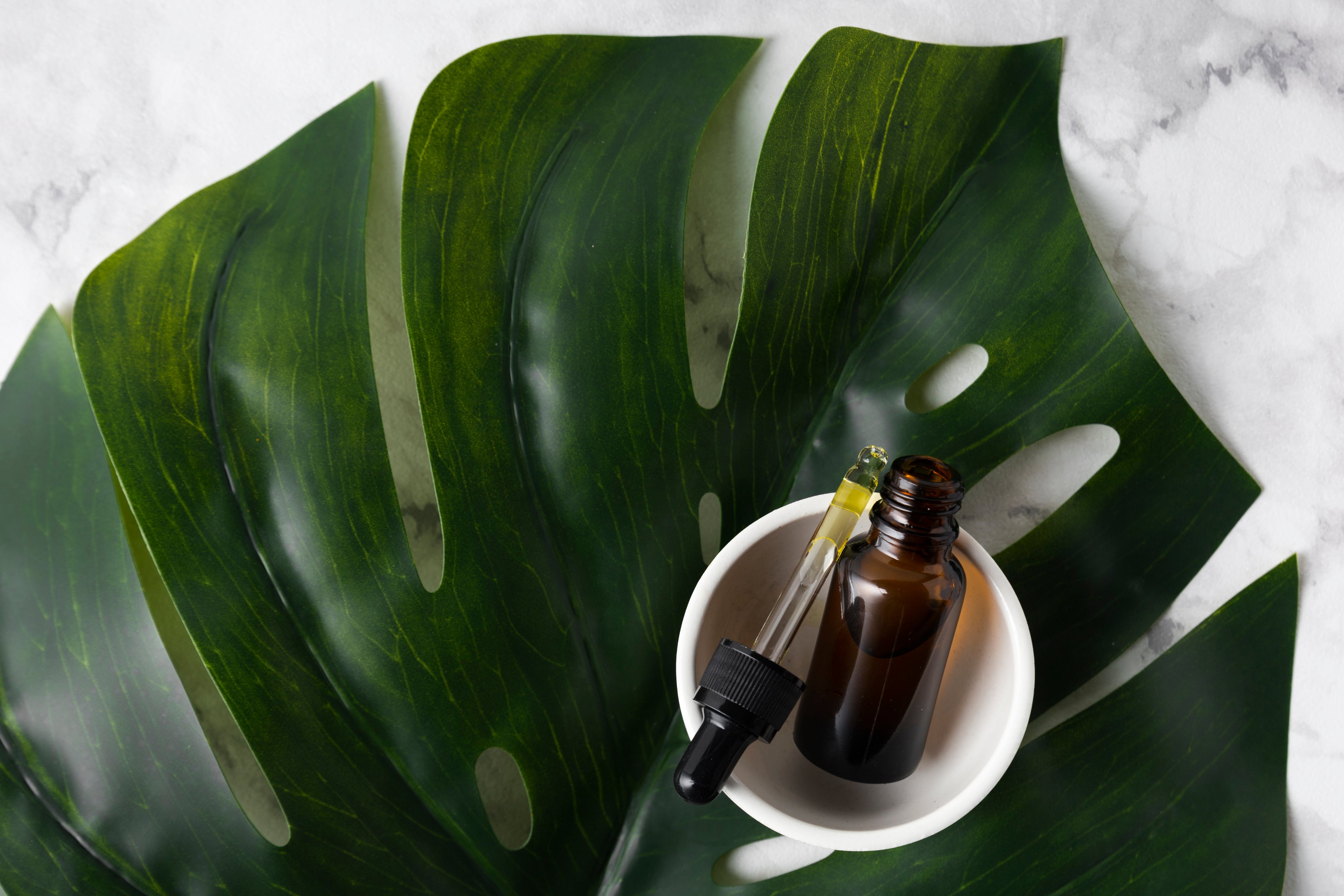 skincare-products-big-green-leaf.jpg